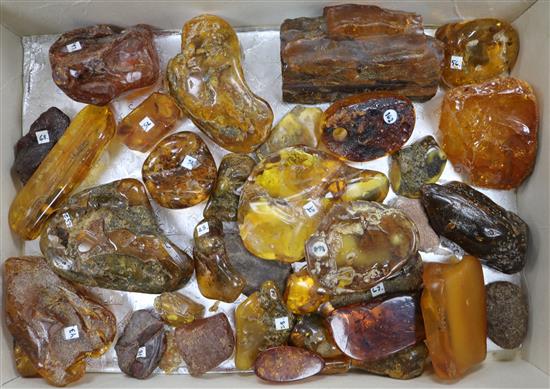 A small group of assorted pieces of raw amber.